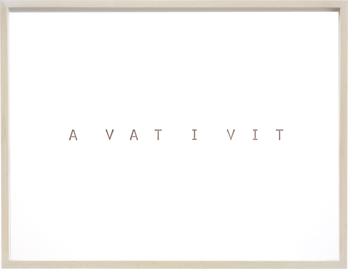 summaryAVATIVIT